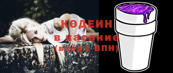 ПСИЛОЦИБИНОВЫЕ ГРИБЫ Пересвет