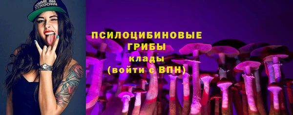 ПСИЛОЦИБИНОВЫЕ ГРИБЫ Пересвет