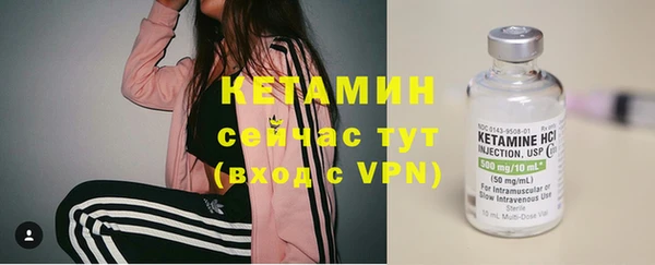 ПСИЛОЦИБИНОВЫЕ ГРИБЫ Пересвет