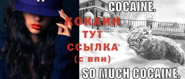 ПСИЛОЦИБИНОВЫЕ ГРИБЫ Пересвет