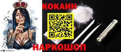 крисы Абакан