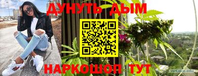крисы Абакан