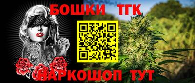 крисы Абакан