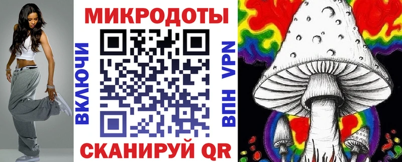 Псилоцибиновые грибы Psilocybe  hydra tor  Апатиты 