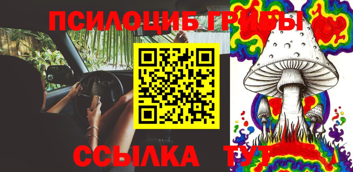 Псилоцибиновые грибы мицелий  купить наркоту  Псилоцибиновые грибы мицелий  Апатиты 