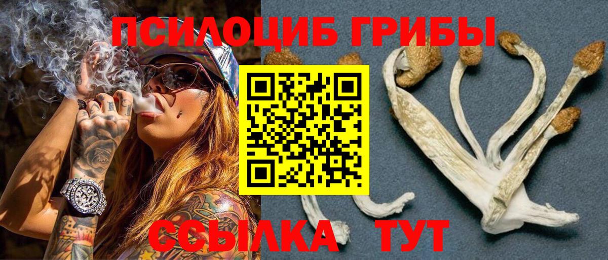 Апатиты  Псилоцибиновые грибы Psilocybe  купить   Вход с VPN 