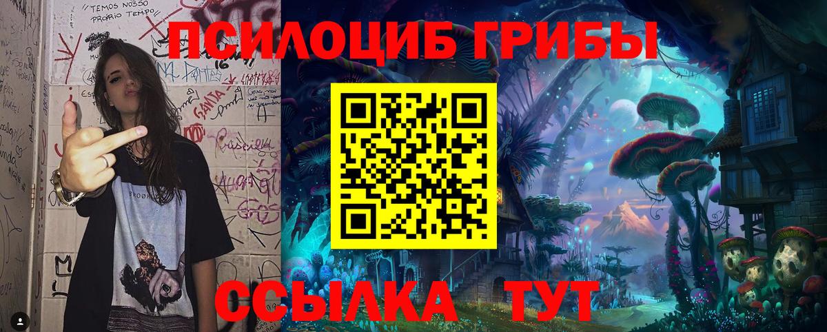 Галлюциногенные грибы мухоморы Апатиты