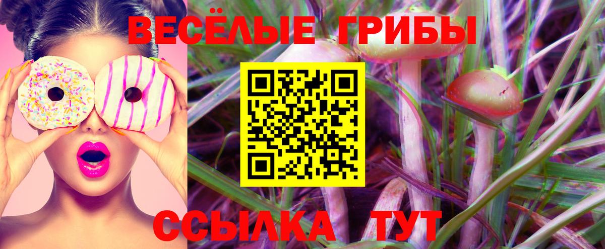 Псилоцибиновые грибы ЛСД Апатиты