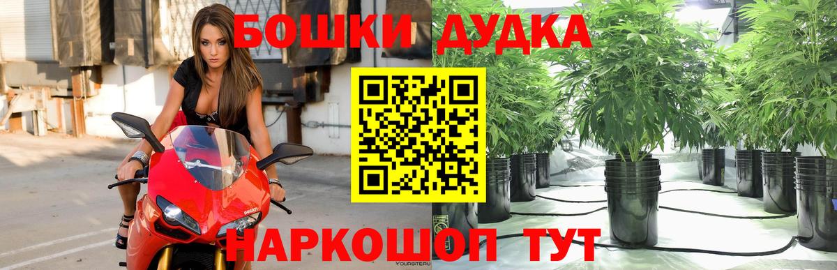 МАРИХУАНА семена  Марихуана OG Kush  Апатиты  Канабис Ganja 